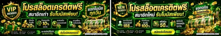 เว็บสล็อตรับเครดิตฟรี โปรโมชั่น